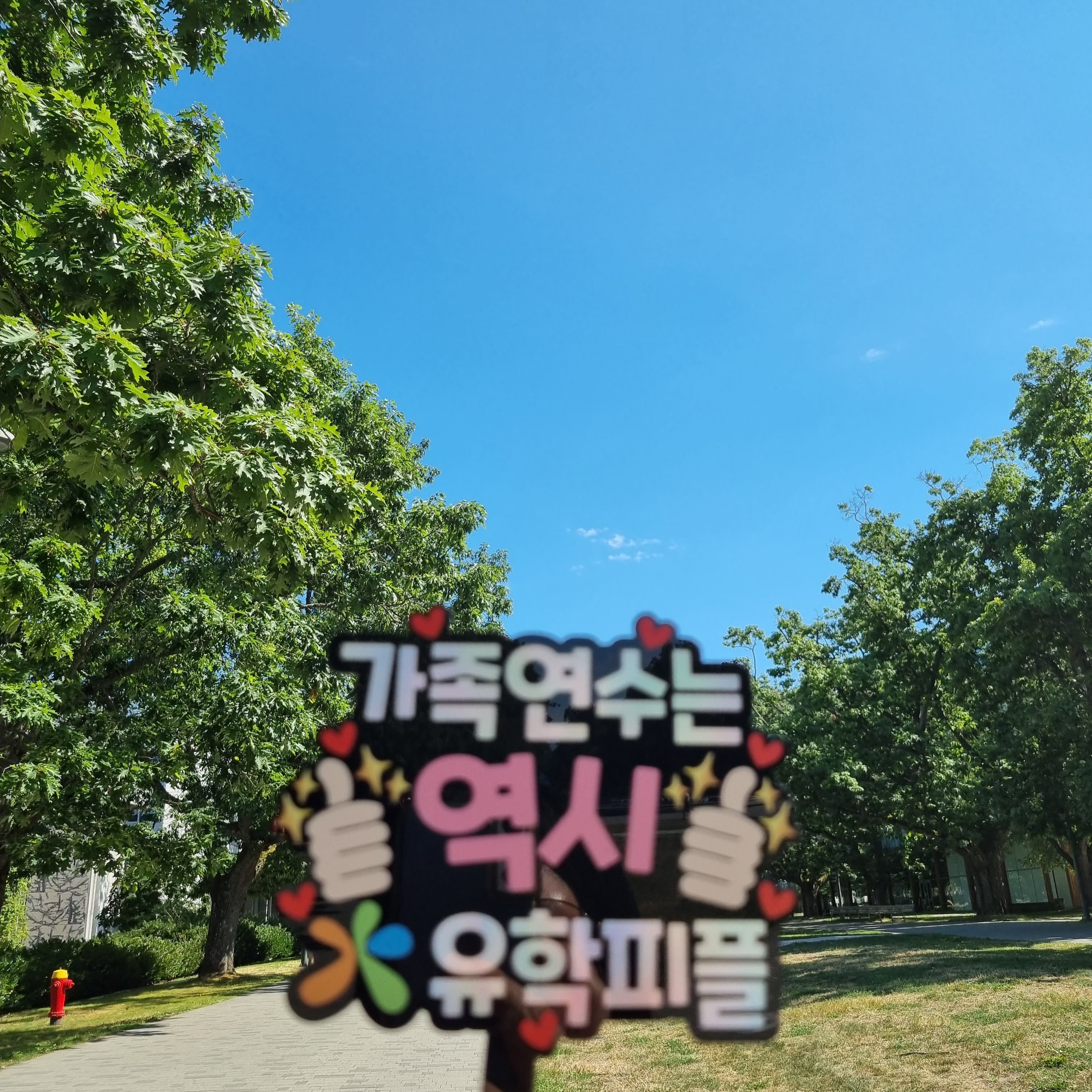 캠프 활동 사진